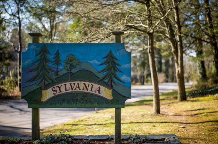 Sylvania Neighborhood 