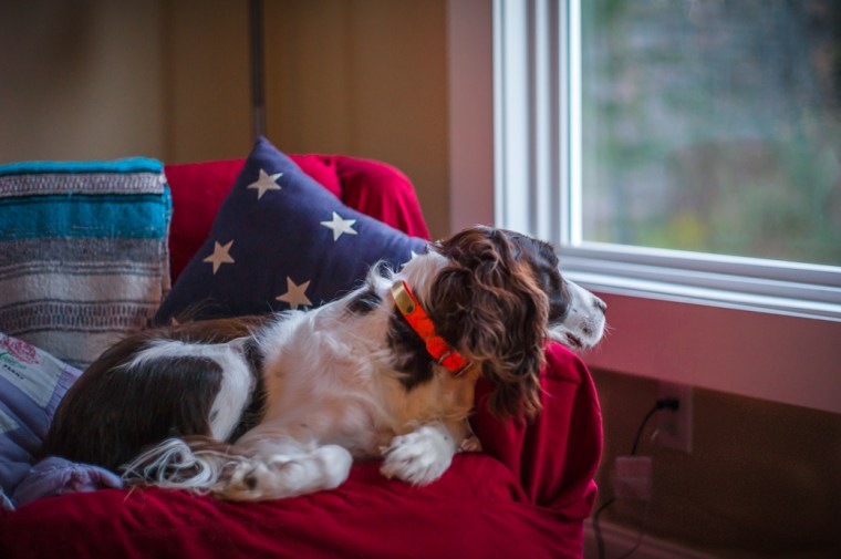 Hopeful | Leica M-E, Leica Summilux-M 50mm f/1.4 pre-ASPH