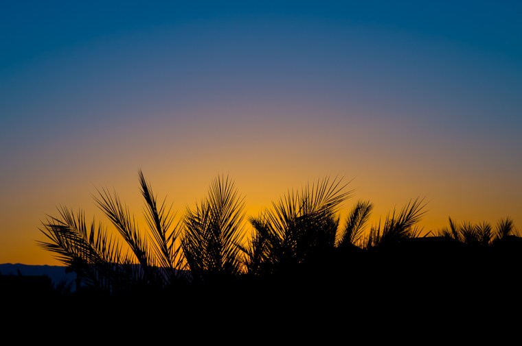 Palm Springs Sunrise