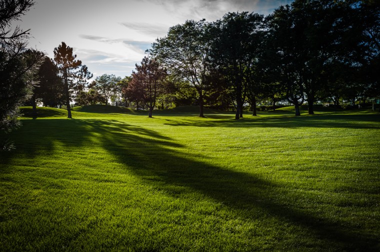 Long Shadows of Fall