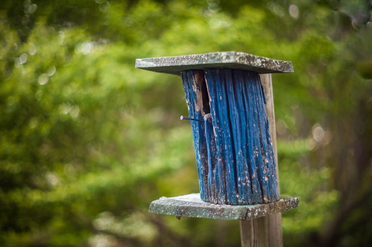 20140427-222126-©DuaneLPandorf-L1025555