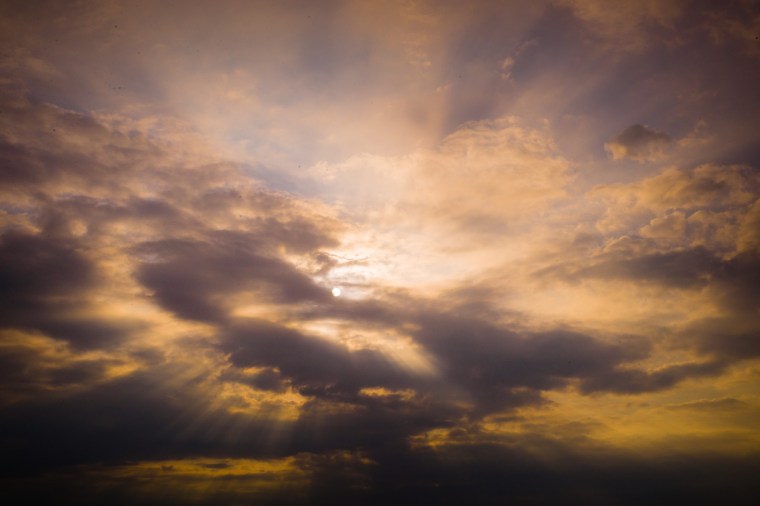 20140820-120205-©DuaneLPandorf-L1030192