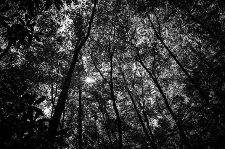 20140920-171854-©DuaneLPandorf-L1031579