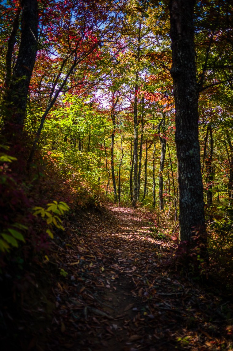 20141009-141227-©DuaneLPandorf-L1031960