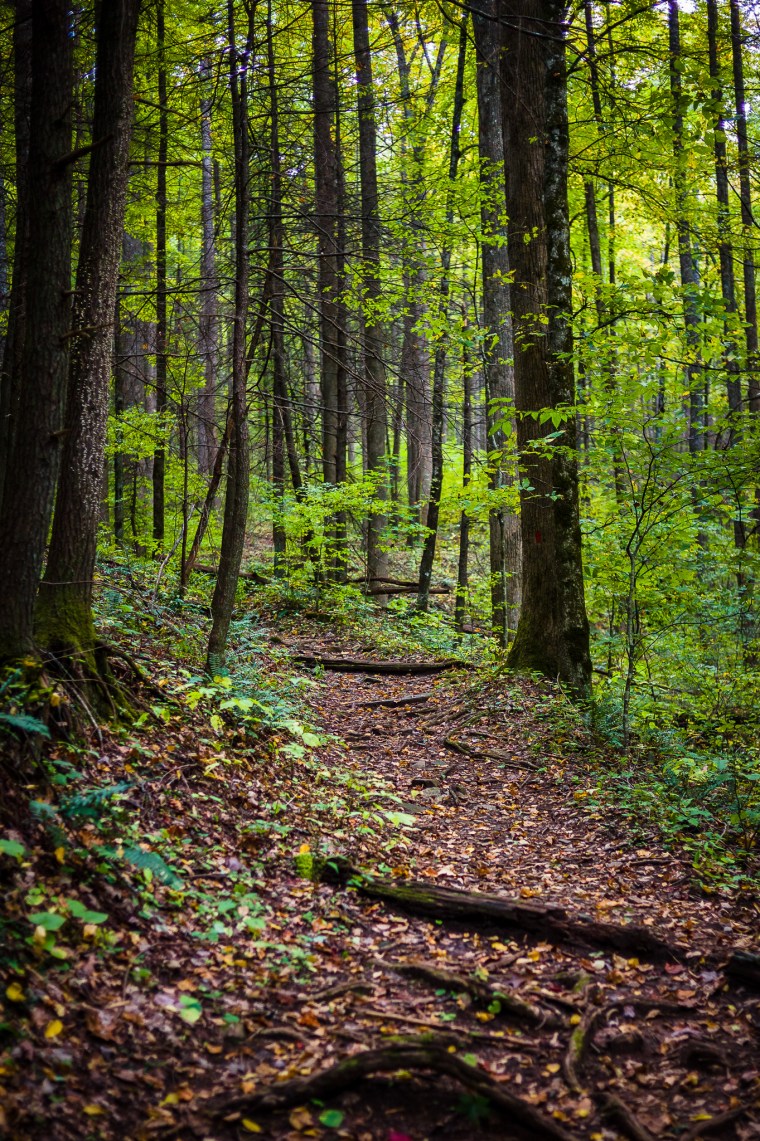 20141009-151415-©DuaneLPandorf-L1031974