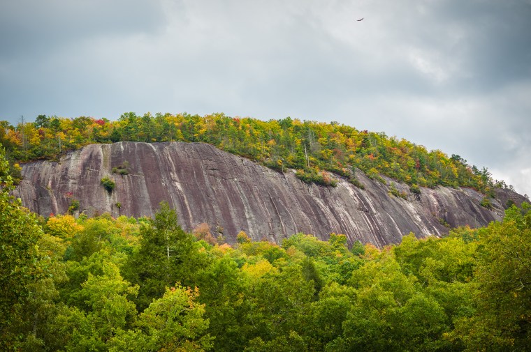 20141009-160834-©DuaneLPandorf-L1031990