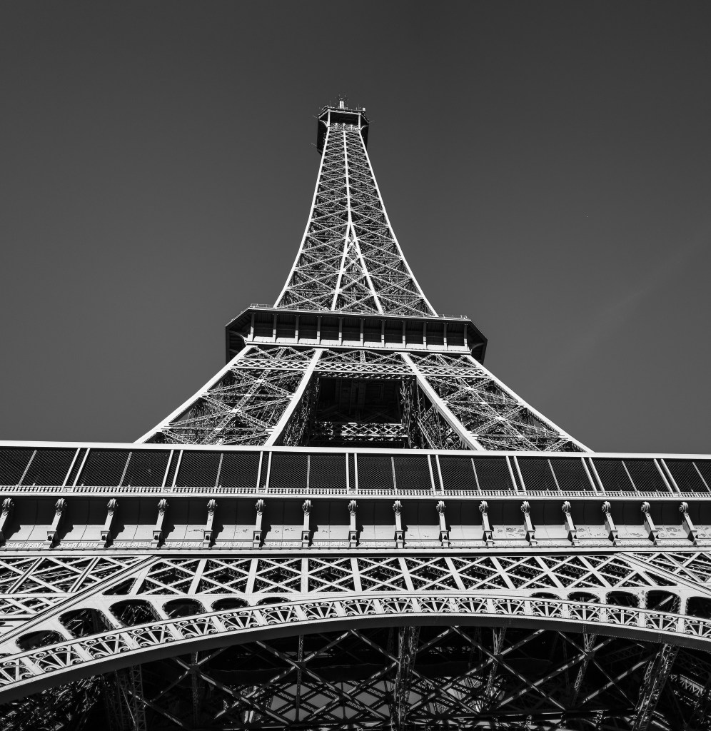 20141014-060841-©DuaneLPandorf-L1032304