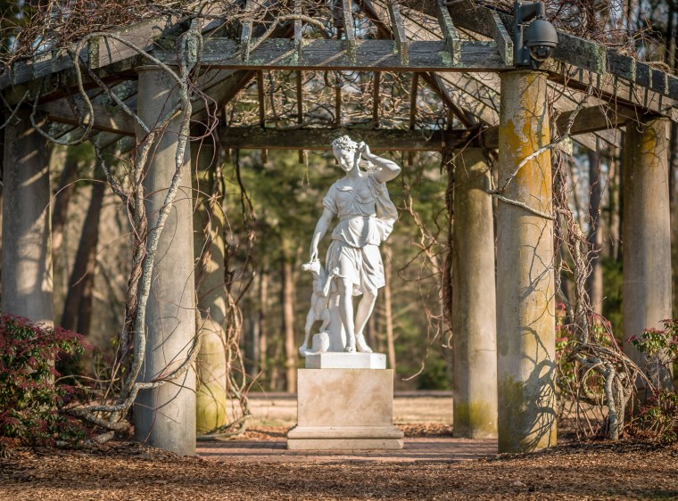 L1035596-@DuaneLPandorf