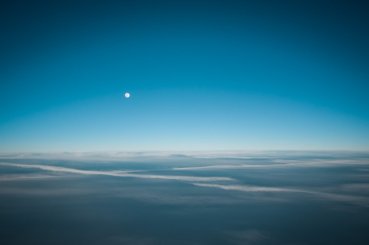 L1036608-@DuaneLPandorf