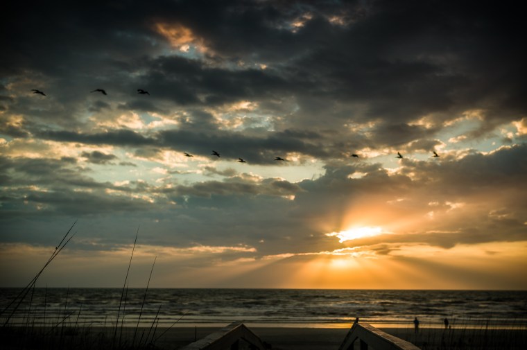 L1038041-@DuaneLPandorf