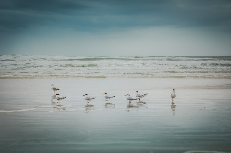 L1038117-@DuaneLPandorf