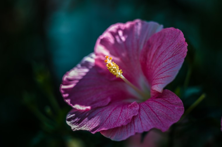 L1039857-@DuaneLPandorf