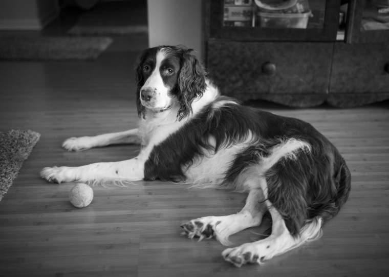 L1040169B&W-@DuaneLPandorf