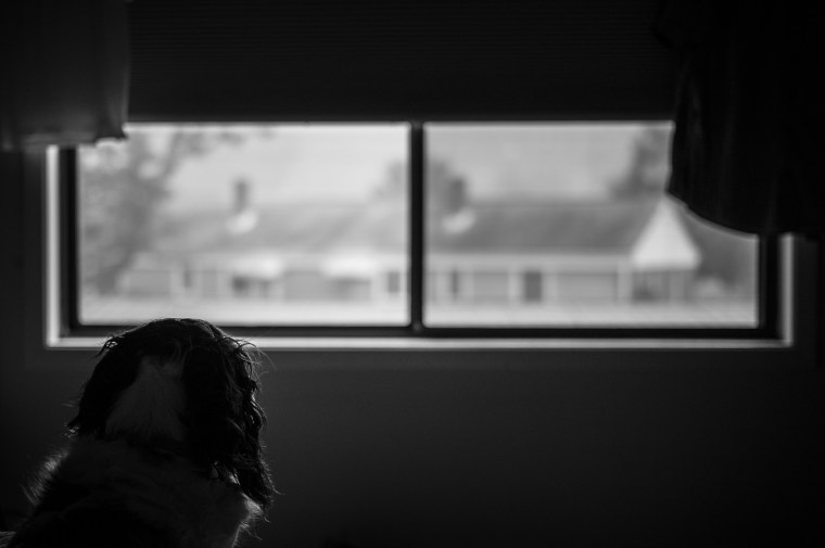 L1040926B&W-@DuaneLPandorf