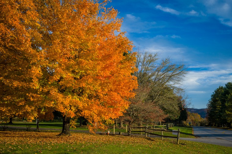 M2401408-@DuaneLPandorf