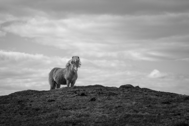 L1091419-B&W@DuaneLPandorf