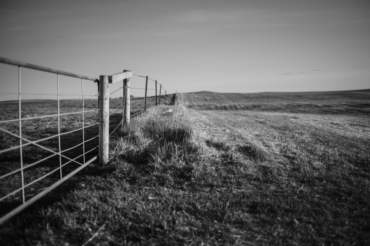 L1091463-B&W@DuaneLPandorf