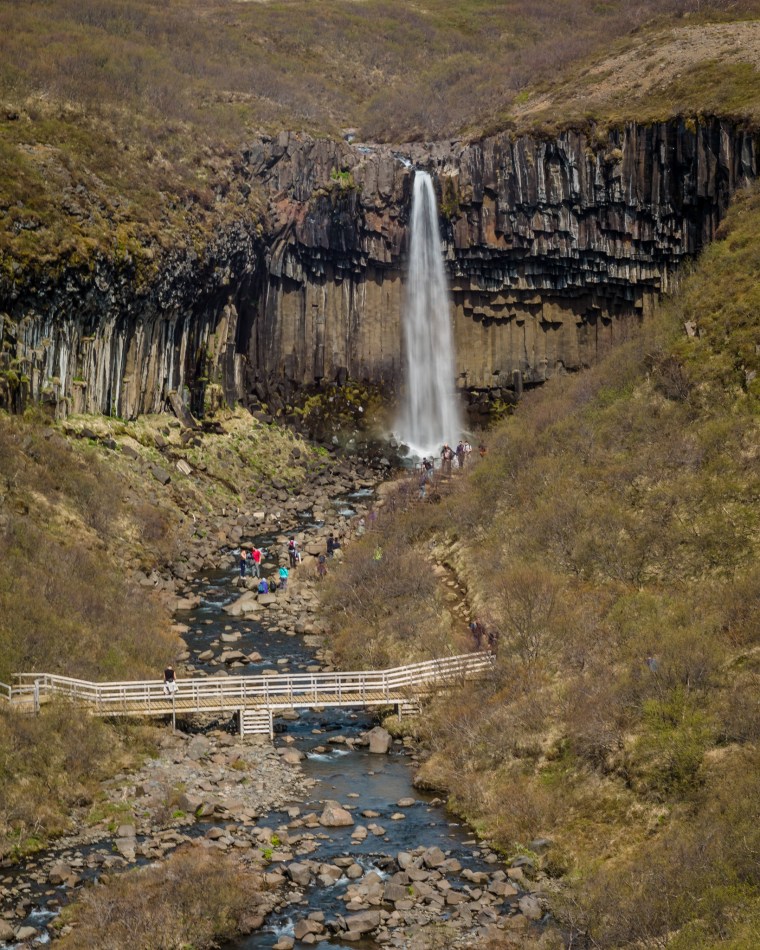 L1091671@DuaneLPandorf